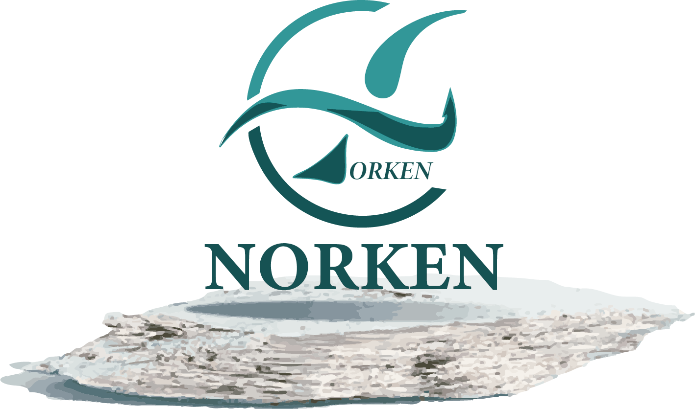 Logo Agua Purificada Norken